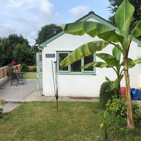 Sycamore Bungalow Perranwell Eksteriør bilde